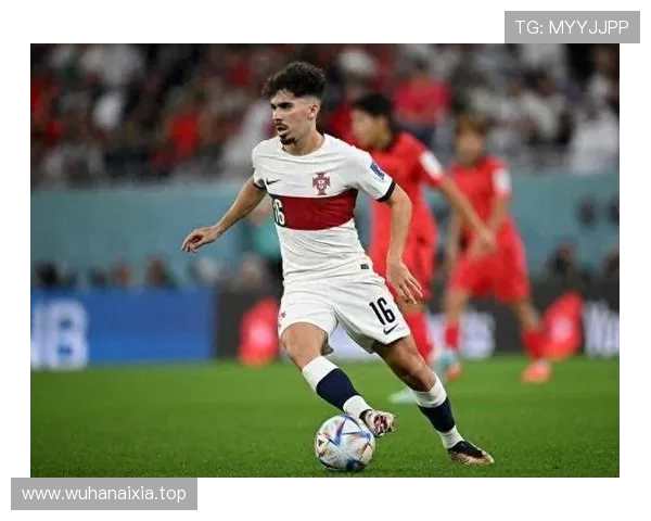 匈主帅：平葡萄牙未改出线形势，却为球队注入强心剂